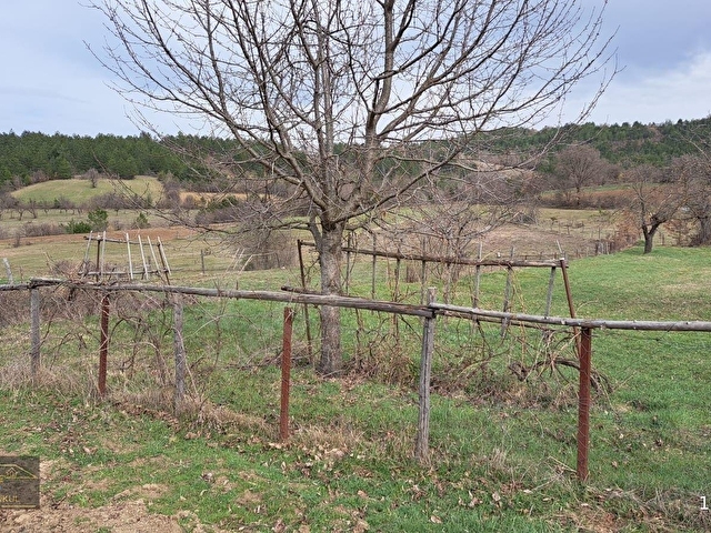 KASTAMONU ARAÇ ÖZBEL KÖYÜNDE ANA CADDE ÜZERİNDE SATILIK BAHÇE - Görsel 8