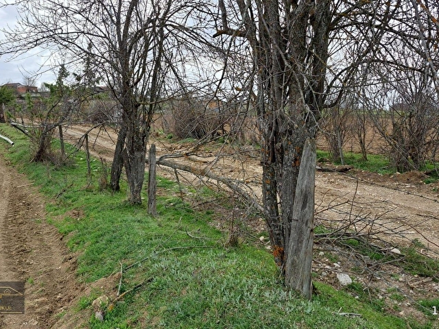 KASTAMONU ARAÇ ÖZBEL KÖYÜNDE ANA CADDE ÜZERİNDE SATILIK BAHÇE - Görsel 12