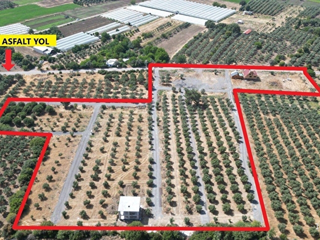 MENEMEN İĞNEDEREDE KÖYÜNDE 264m2 ELEKTRİK SUYU OLAN SATILIK PARSELLER - Görsel 3