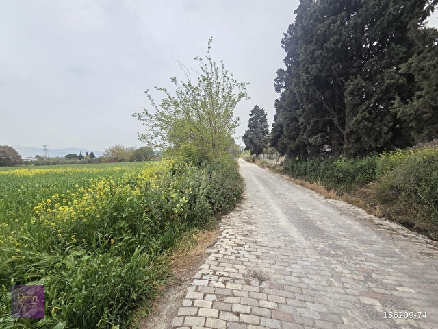 Foça ılıpınarda anayola yakın 10202 m2 yatırımlık satılık tarla - Görsel 12