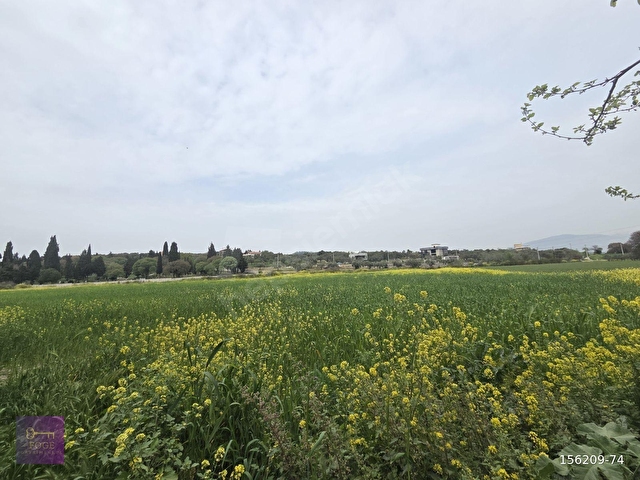 Foça ılıpınarda anayola yakın 10202 m2 yatırımlık satılık tarla - Görsel 4