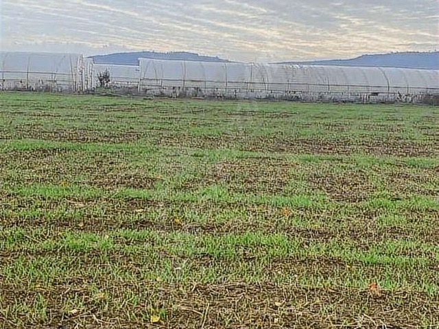 ACİL ACİL !!! TEKİRDAĞ SÜLEYMANPAŞA 1998 m2 TEK TAPU - Görsel 18