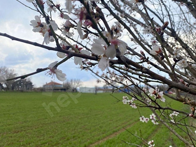 Tekirdağ Malkara Pirinççeşmede 348 m² Resmi Yola Cepheli Arsa - Görsel 12
