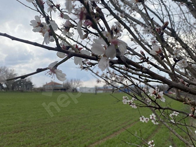 Tekirdağ Malkara Pirinççeşmede 348 m² Resmi Yola Cepheli Arsa - Görsel 3
