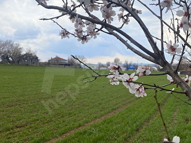 Tekirdağ Malkara Pirinççeşmede 348 m² Resmi Yola Cepheli Arsa - Görsel 5