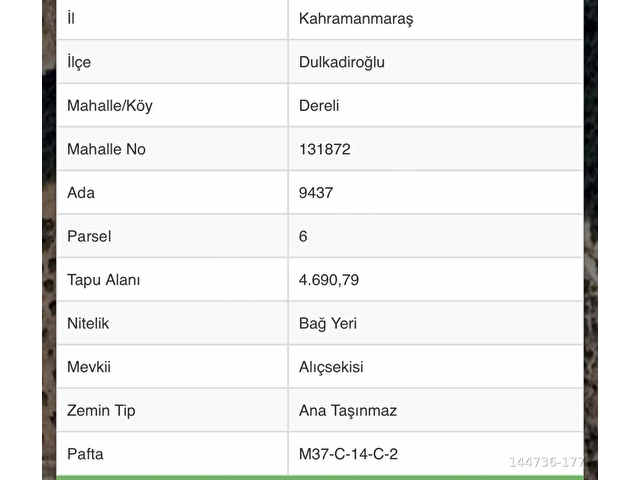 MYM GAYRİMENKULDEN SATILIK ALIÇSEKİNDE BAĞ - Görsel 29
