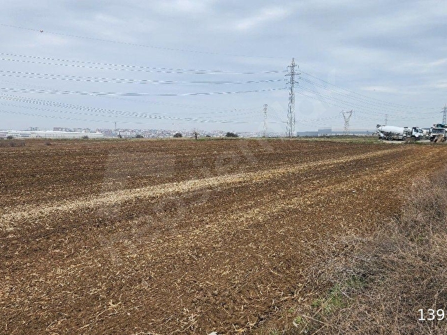 Kapaklı Mimar Sinan Kiralık