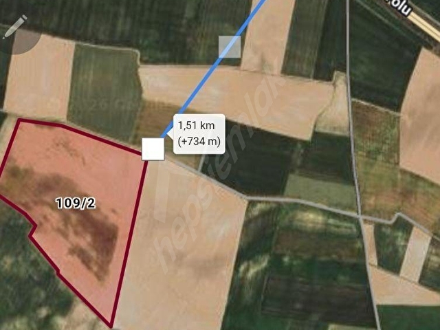 RW NESTTEN YEŞİLYURTTA ÇEVRE YOLU YAKINI SATILIK SULAMA TARLA