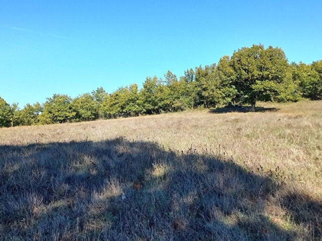 Ahmet Kara Gayrimenkulden Cumaköyde 12.117.97 m² Tek Tapu Arsa - Görsel 6
