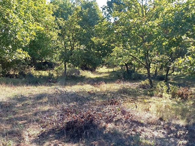 Ahmet Kara Gayrimenkulden Cumaköyde 12.117.97 m² Tek Tapu Arsa - Görsel 15