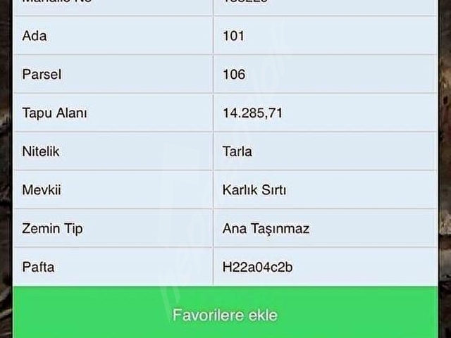 Zirvede Şahin yurdu haydariye caddesi üzerinde - Görsel 6