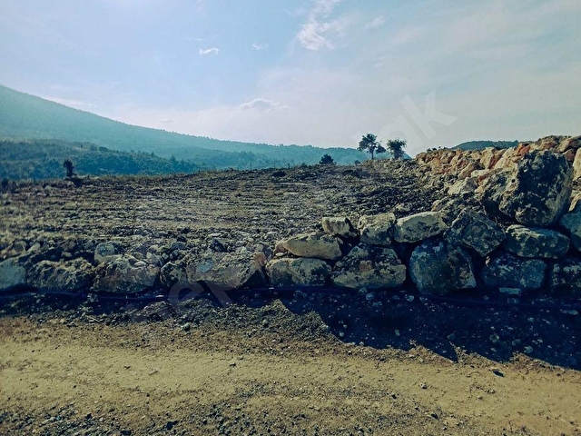 ÇAKSINA YOL KENARI SATILIK 9500metre kare - Görsel 7