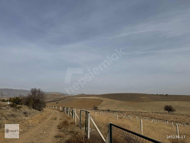 ANKARA KALECİK MAHALLESİ 250 M2 BAHÇE ACİL FIRSAT BAHÇE - Görsel 9