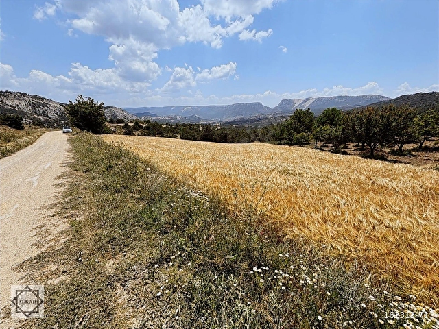 BİLECİK YENIPAZAR ESENKÖY YOLA CEPHE 4334m2 KÖY İÇİ İMARLI
