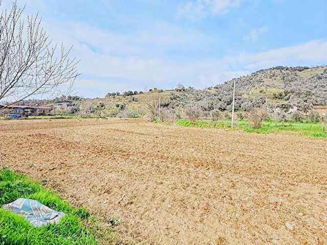 İzmir Tire Sarılar Köyünde Satılık Süper Bir Yer - Görsel 3