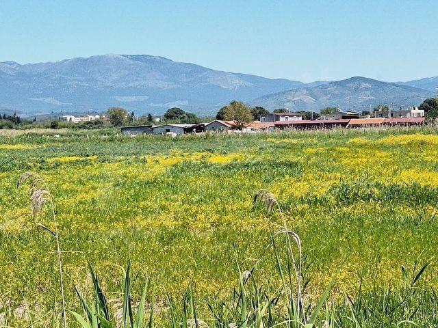 BALIKESİR EDREMİT BOSTANCI KÖYÜNDE SATILIK TARLA - Görsel 3