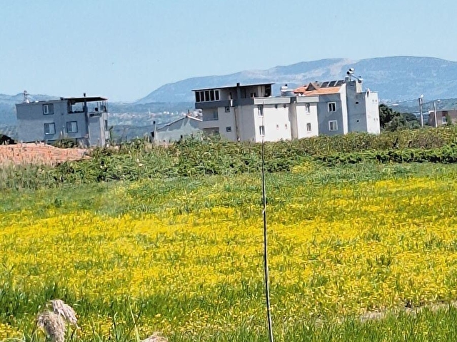 BALIKESİR EDREMİT BOSTANCI KÖYÜNDE SATILIK TARLA - Görsel 2