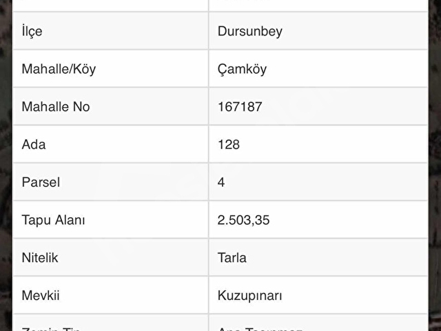 ÇAMKÖYDE 2503 M2 TARLA - Görsel 4