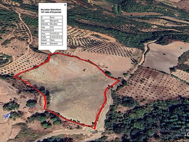 MURATLARDA YOLA CEPHELİ 600 AĞAÇLIK ZEYTİNLİK - Görsel 9