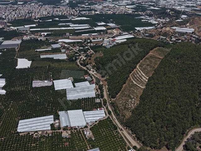 LAW EMLAKTAN SATILIK SERA VE EVİ MERKEZE 800 MT - Görsel 5