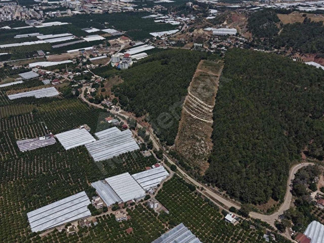 LAW EMLAKTAN SATILIK SERA VE EVİ MERKEZE 800 MT - Görsel 3