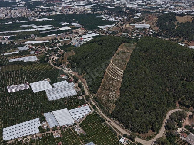 LAW EMLAKTAN SATILIK SERA VE EVİ MERKEZE 800 MT - Görsel 4
