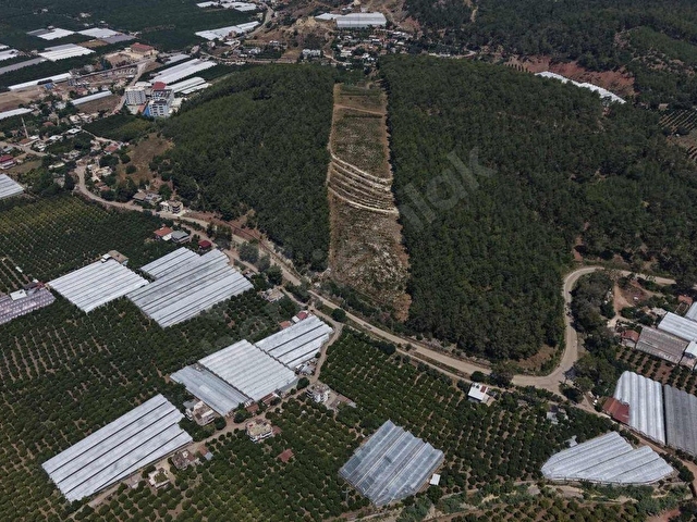 LAW EMLAKTAN SATILIK SERA VE EVİ MERKEZE 800 MT - Görsel 2