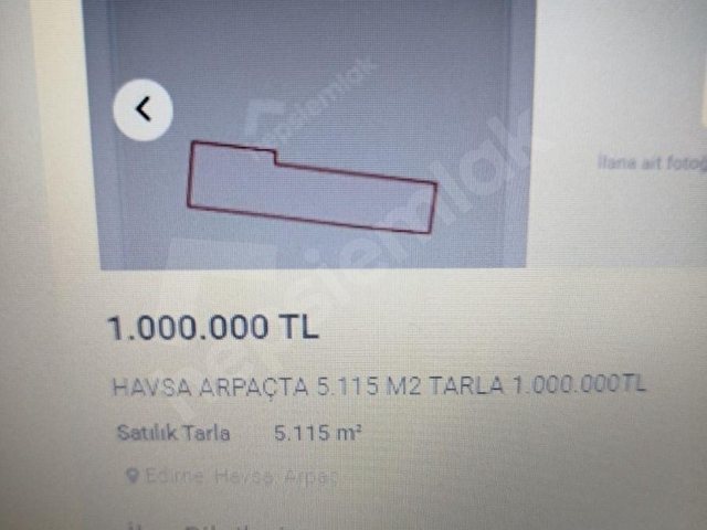 Edirne havsa Arpaçta 5115 m2 tarla satılıktır meraya bitişik yolu var