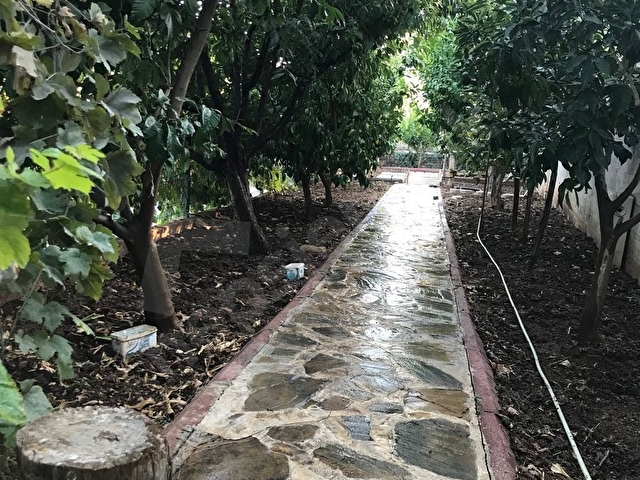 Sahibinden 850 M2 Arsa İçinde Köşe Villa - Görsel 17