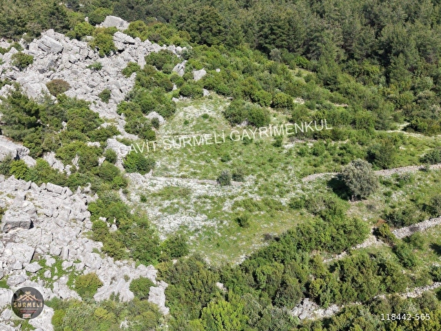 SÜRMELİDEN KIZILSEKİDE SATILIK TEK TAPU TARLA 26296 M2 - Görsel 9