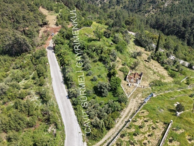 SÜRMELİDEN KIZILSEKİDE SATILIK TEK TAPU TARLA 26296 M2 - Görsel 23