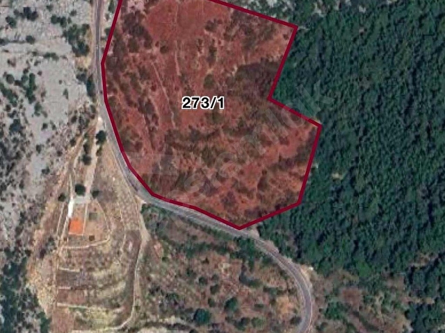 SÜRMELİDEN KIZILSEKİDE SATILIK TEK TAPU TARLA 26296 M2 - Görsel 18