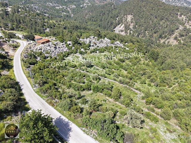 SÜRMELİDEN KIZILSEKİDE SATILIK TEK TAPU TARLA 26296 M2 - Görsel 5