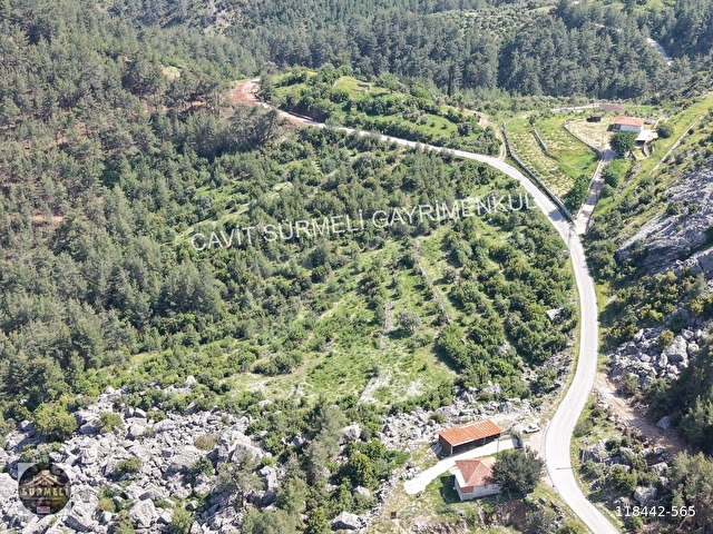 SÜRMELİDEN KIZILSEKİDE SATILIK TEK TAPU TARLA 26296 M2 - Görsel 12