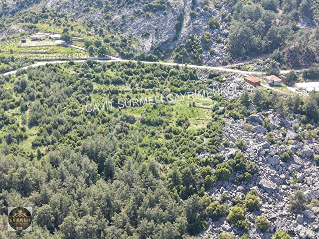 SÜRMELİDEN KIZILSEKİDE SATILIK TEK TAPU TARLA 26296 M2 - Görsel 6