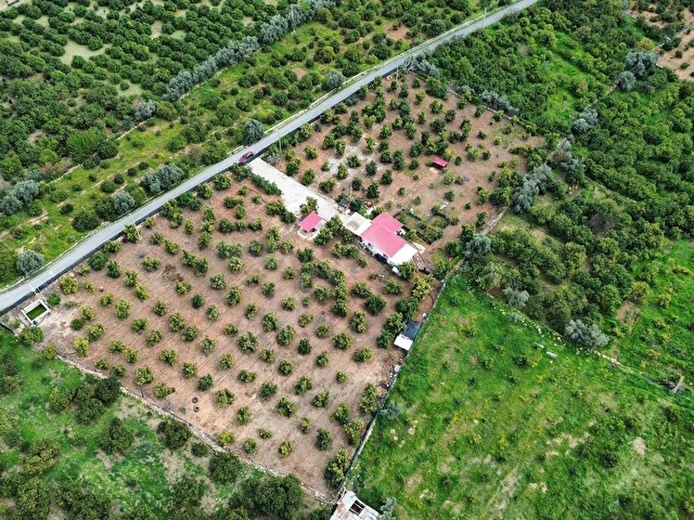 DAP QUALİTYDEN TÖMÜKTE İMARA YAKIN 7000m2 AVAKADO BAHÇESİ - Görsel 7