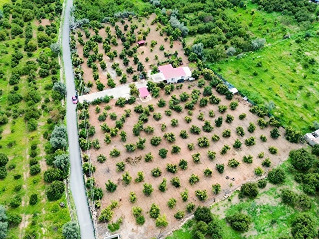 DAP QUALİTYDEN TÖMÜKTE İMARA YAKIN 7000m2 AVAKADO BAHÇESİ - Görsel 13