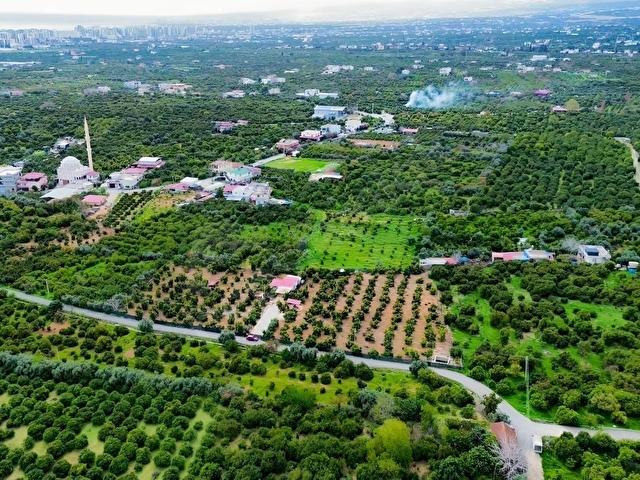 DAP QUALİTYDEN TÖMÜKTE İMARA YAKIN 7000m2 AVAKADO BAHÇESİ - Görsel 17