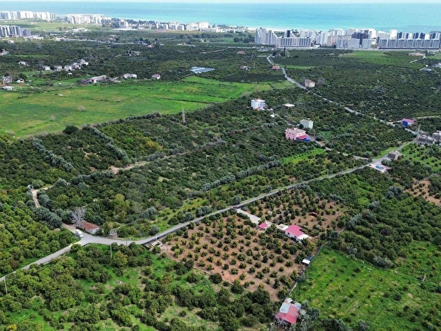 DAP QUALİTYDEN TÖMÜKTE İMARA YAKIN 7000m2 AVAKADO BAHÇESİ - Görsel 3