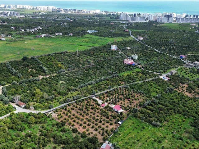 DAP QUALİTYDEN TÖMÜKTE İMARA YAKIN 7000m2 AVAKADO BAHÇESİ - Görsel 4