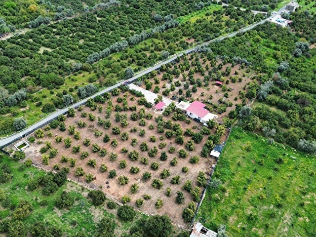 DAP QUALİTYDEN TÖMÜKTE İMARA YAKIN 7000m2 AVAKADO BAHÇESİ - Görsel 9