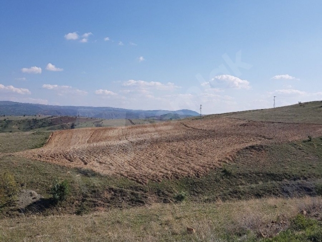 Mükemmel Konum Fırsat Tarla 10345m2 - Görsel 24