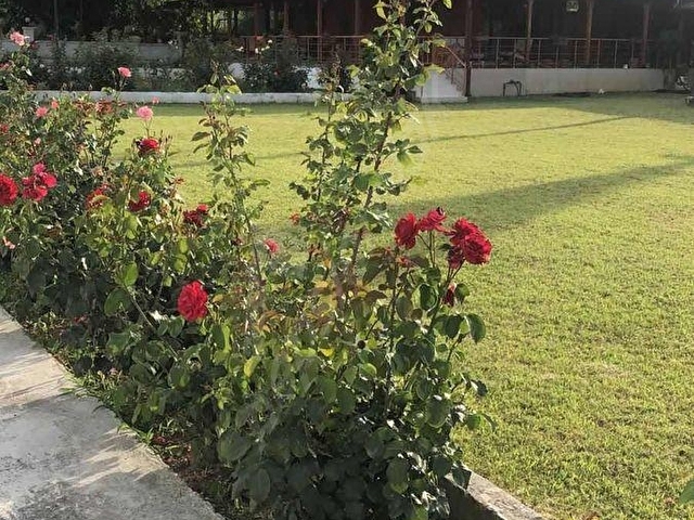 Müstakil havuzlu triblex villa - Görsel 6