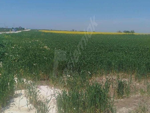 tekirdağ ergene mah misininli harika konumda imarlı arsa - Görsel 5