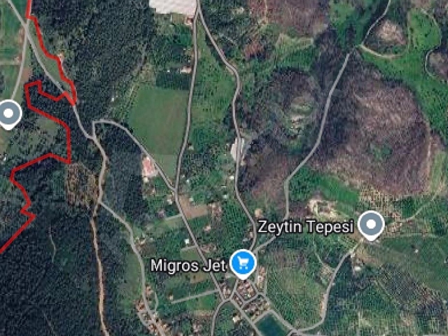 DOĞA İLE İÇ İÇE FOÇA ILIPINARDA PAYLI MÜLKİYETLİ  195 M2  HİSSELİ TARLA - Görsel 3