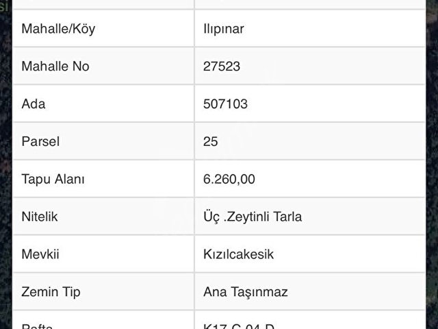 DOĞA İLE İÇ İÇE FOÇA ILIPINARDA PAYLI MÜLKİYETLİ  195 M2  HİSSELİ TARLA - Görsel 2