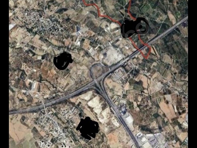 SATLIK MANDALİNA BAHÇESİ
