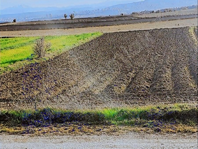 KASTAMONU MERKEZ ARIZ KÖYÜNDE SATILIK ARAZİ - Görsel 13