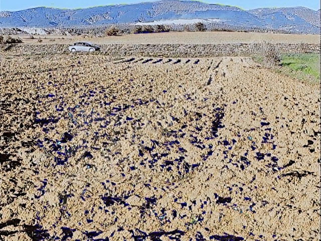 KASTAMONU MERKEZ ARIZ KÖYÜNDE SATILIK ARAZİ - Görsel 27