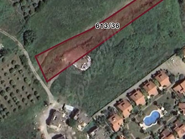 KEMER KUZDEREDE SATILIK 3300 m2 TARLA - Görsel 9